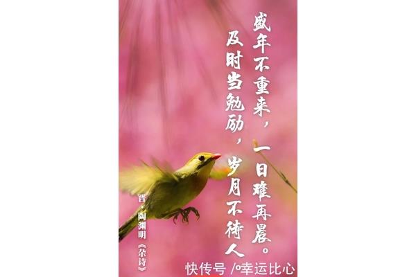 一日难再晨全诗