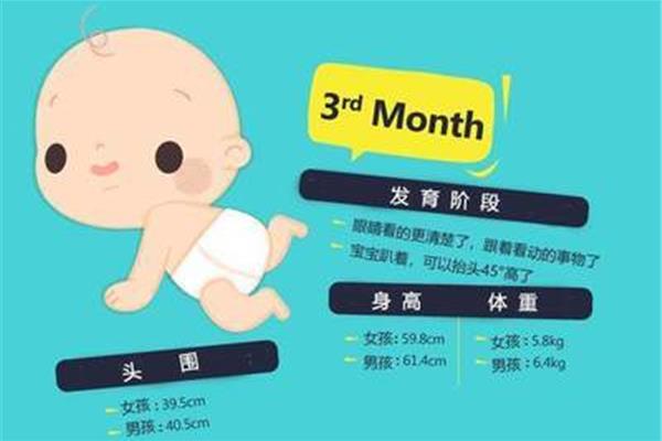 一岁宝宝发育指标
