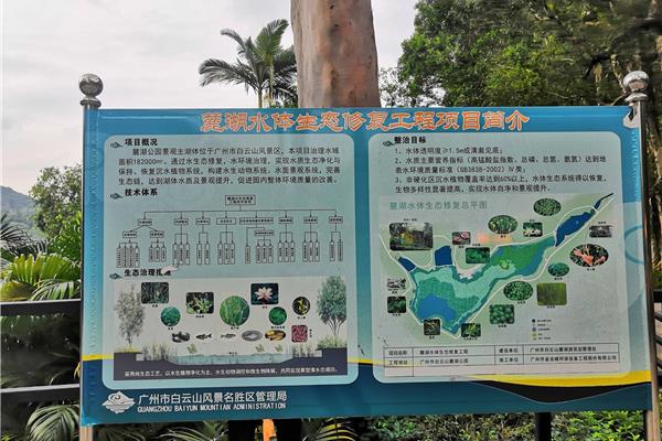 公园怎么写