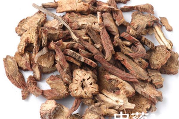 安神的中药有哪些