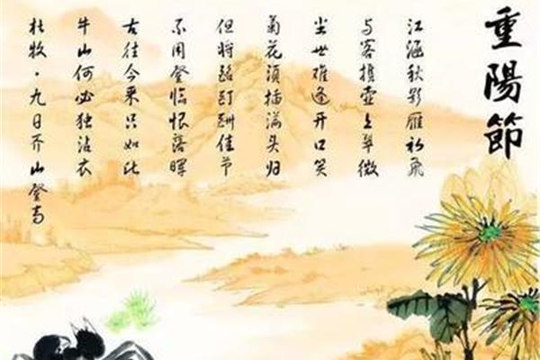 九日次韵王巩