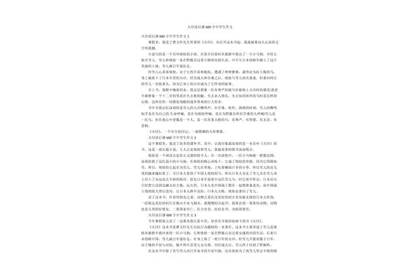 火印读后感