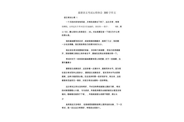 考试感想300字
