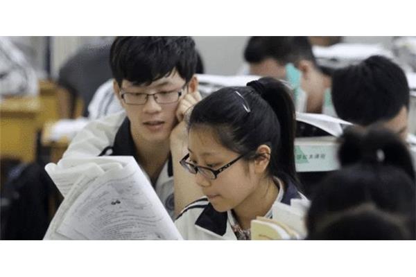 什么是新高考
