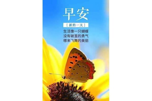 付出与收获