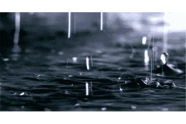 永远的雨季