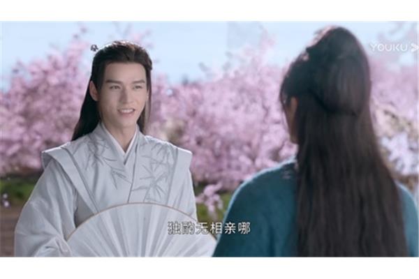 花间一壶酒