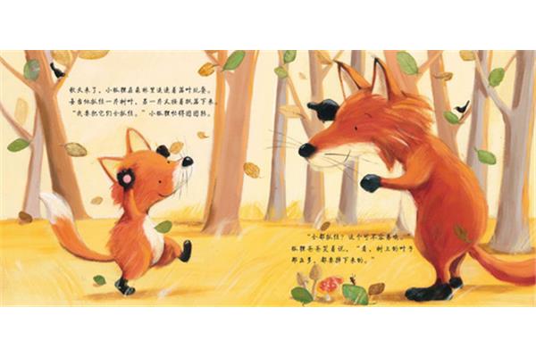 我的小狐狸
