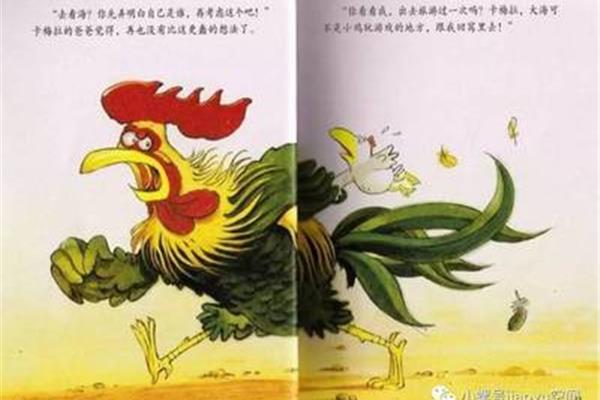 小鸡卡梅拉