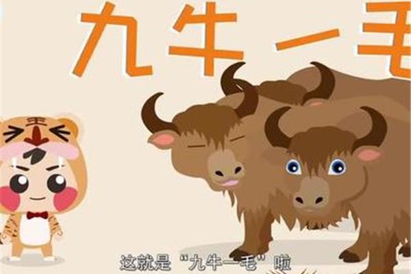 九牛一毛成语故事