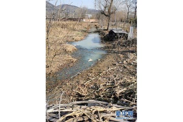 农村生活污水治理