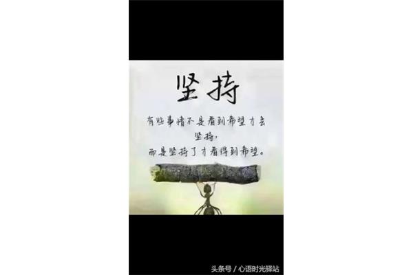 坚持的例子