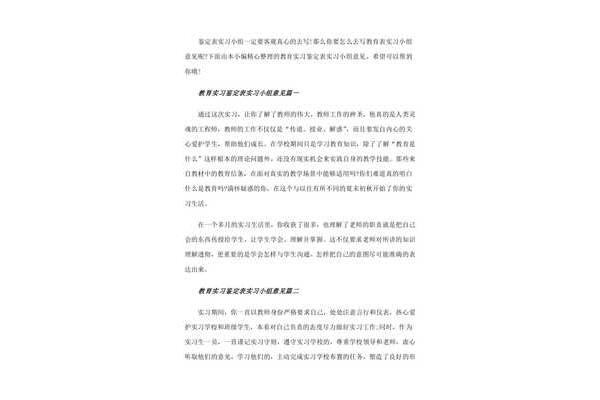 实习小组意见