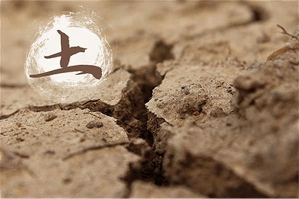 大驿土是什么土