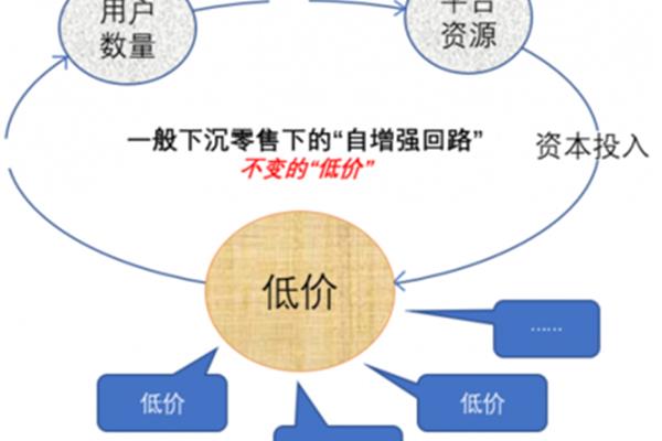 资本的定义