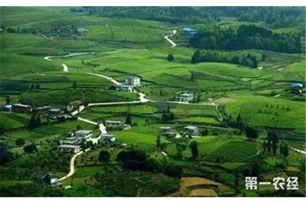 农村综合改革