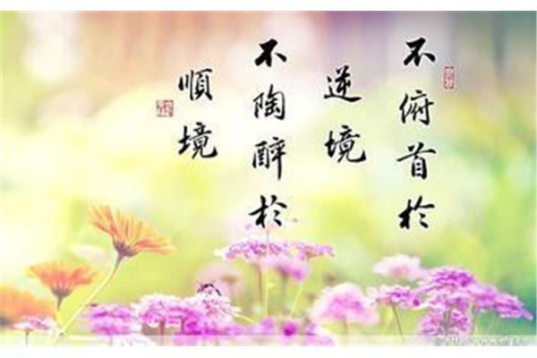 关于逆境的名言
