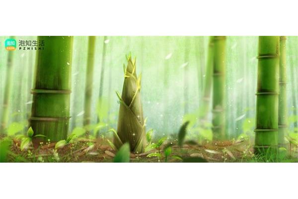 雨后春笋的意思