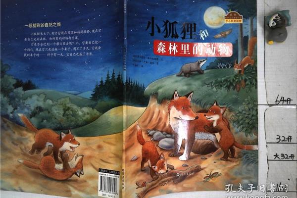 我的小狐狸