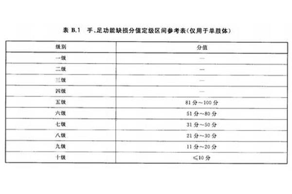 9级伤残鉴定标准