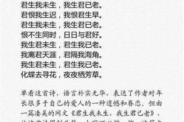 恋爱的诗句