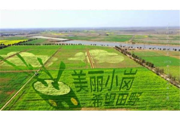 农村综合改革