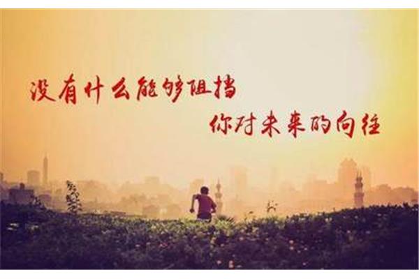 付出与收获