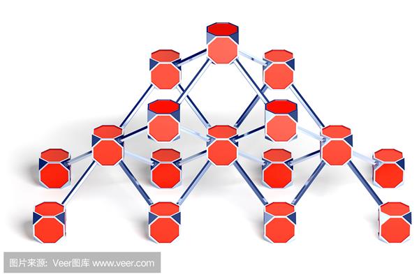 组织的概念