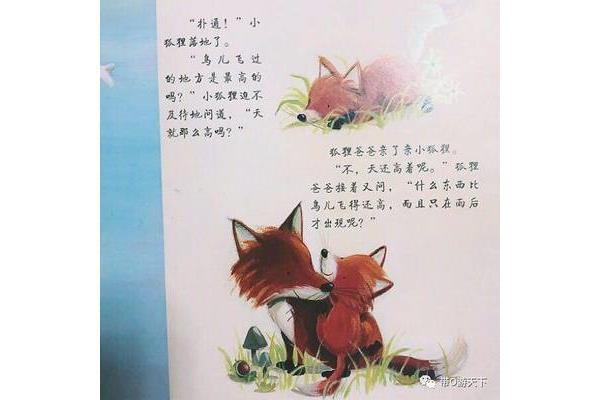 我的小狐狸