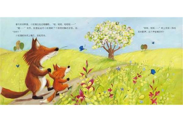 我的小狐狸
