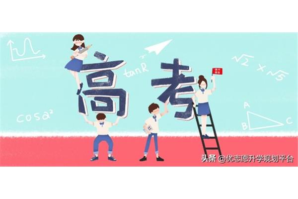 什么是新高考