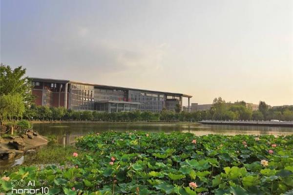 西南大学校园网