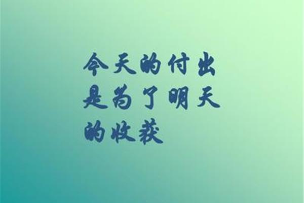 付出与收获
