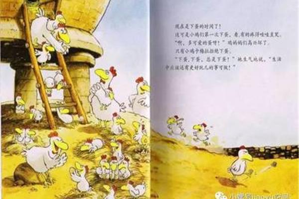 小鸡卡梅拉