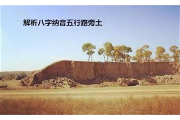 大驿土是什么土