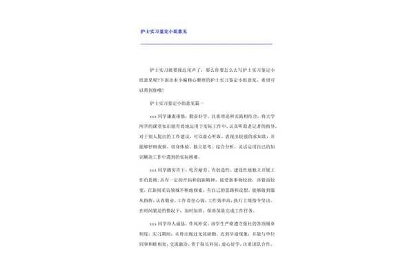 实习小组意见