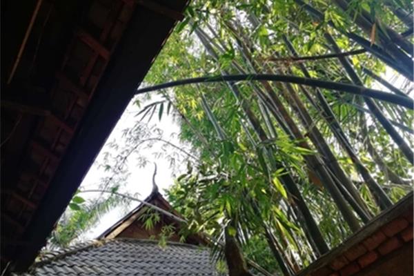 西双版纳招聘