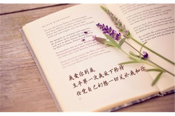 托物言志的诗句