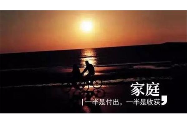 付出与收获