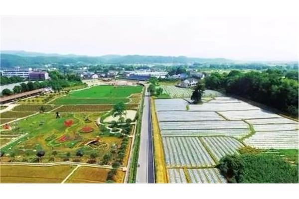 农村综合改革