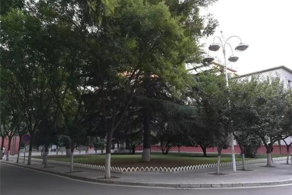 东北政法大学