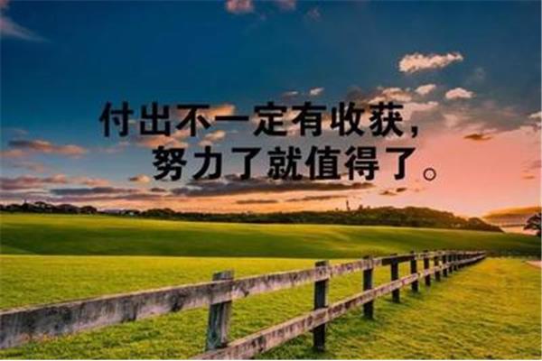 付出与收获