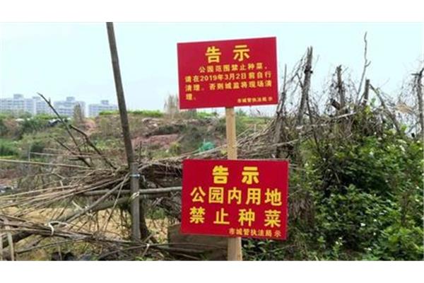 公园怎么写