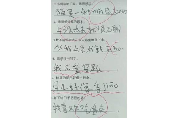 用高兴造句