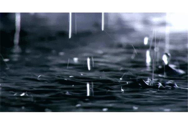 暴风雨来了