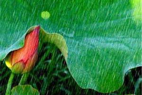 永远的雨季