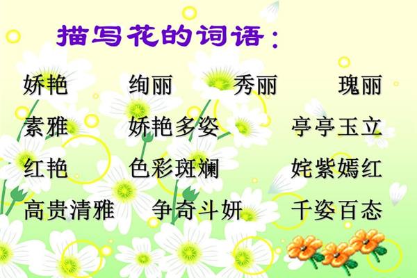 描写颜色的词语