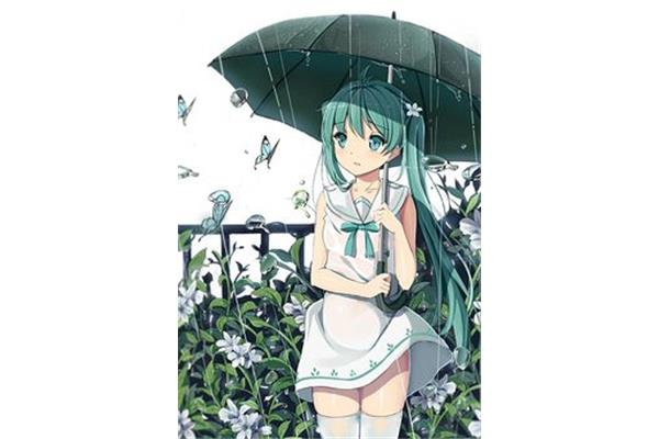 永远的雨季