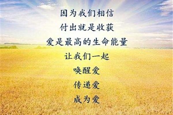 付出与收获