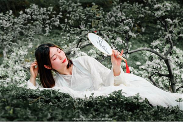 花间一壶酒